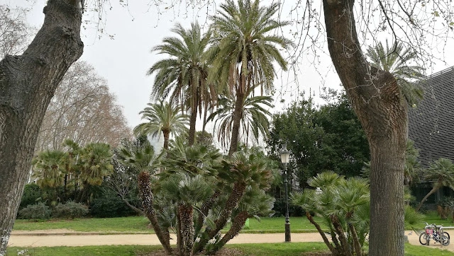 Palmy w barcelońskim parku