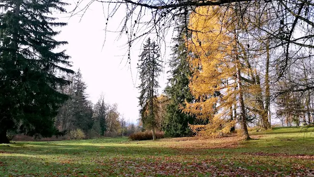 park pałacowy w Staniszowie