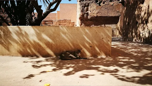 zabytki do zwiedzenia w Maroko