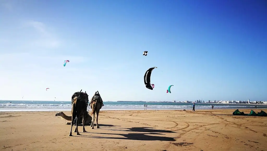 Kitesurfing w Maroko - spot na plaży Essaouira