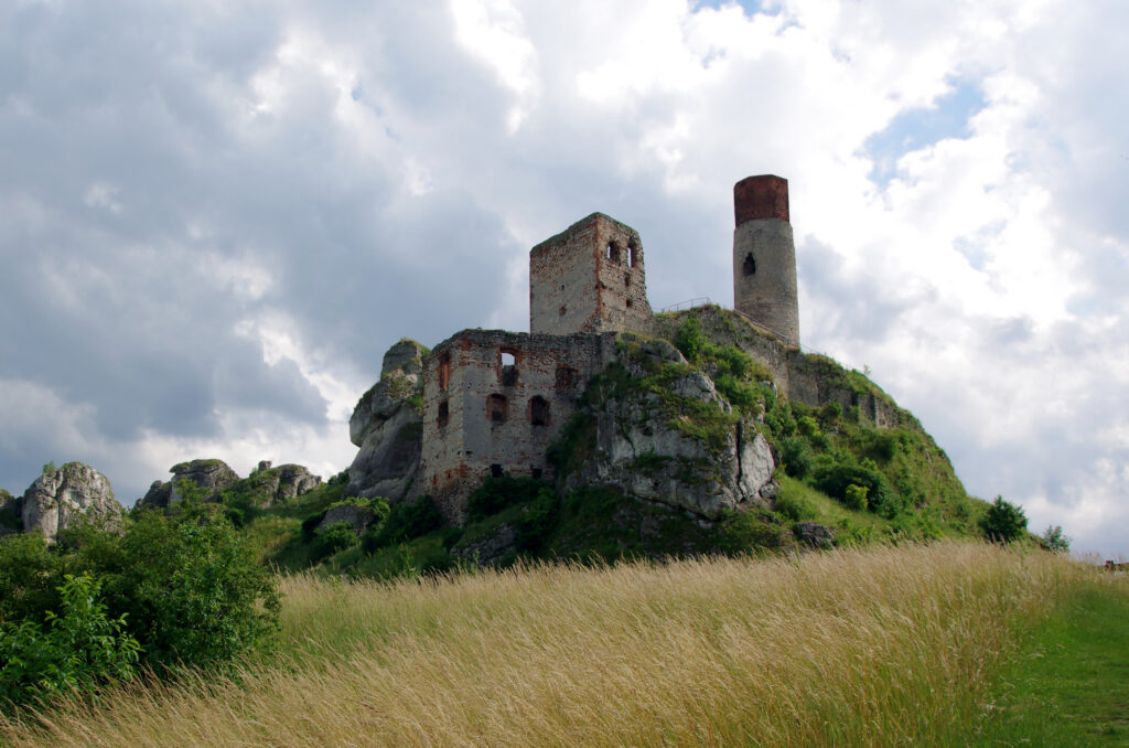 Zamek Olszyn