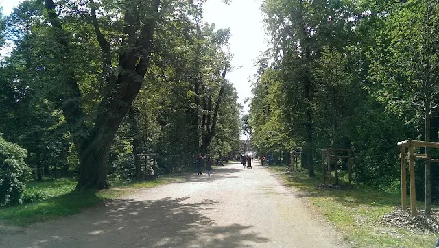 Aleja dębowa w Parku w Mosznej
