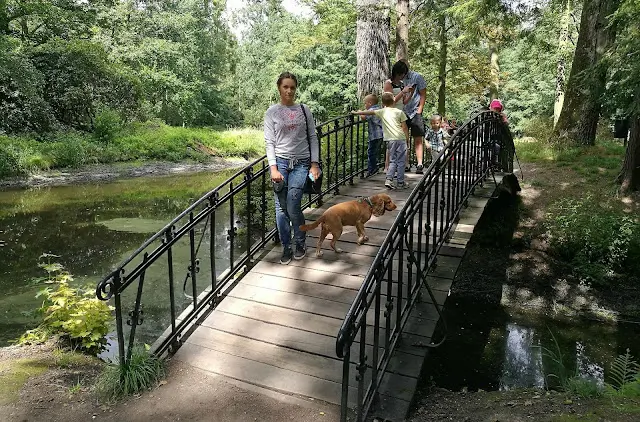 Kanały wodne w Parku w Mosznej